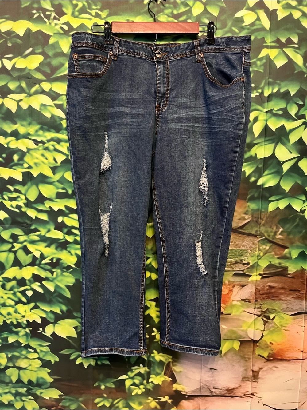 Ashley Stewart Distressed Dark Blue Cropped Jeans